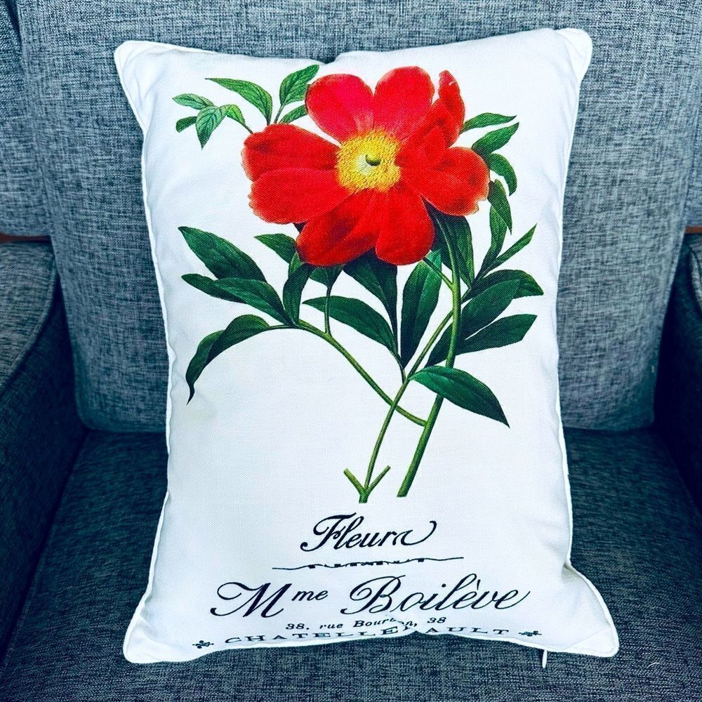 French Floral Fleur Parisian Graphic Throw Pillow